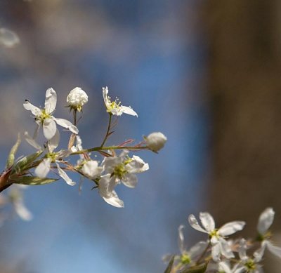 PB-IMG_5442w.jpg