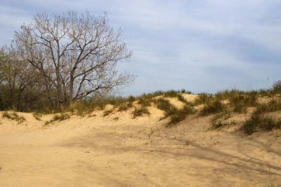 The Dunes along Lake Michigan