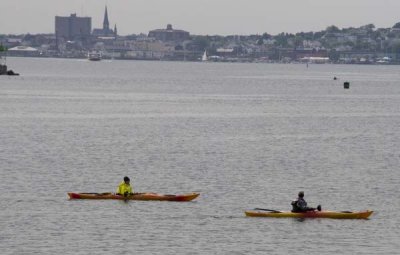 Kayaks on Portland Harbor
