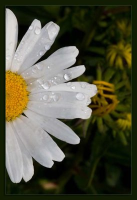 g6/58/560858/3/82154457.idxzJ5XM.jpg