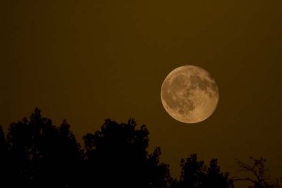 Moon Composite