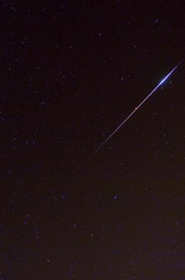Perseid Meteor