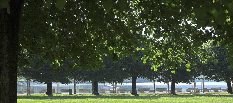 Mondsee Lakefront