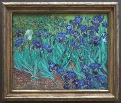 Van Gogh's Irises