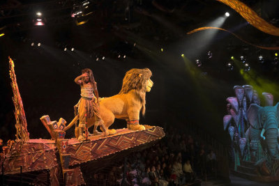 Festival of the Lion King