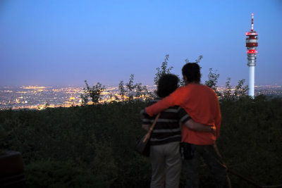 Romantic Evening
