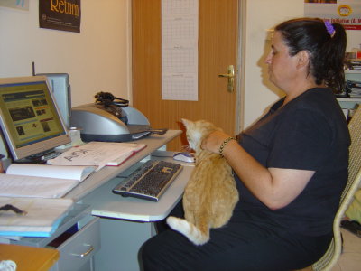 This is Mellow with Diana