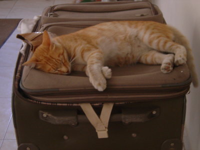 You can't go anywhere without taking me.