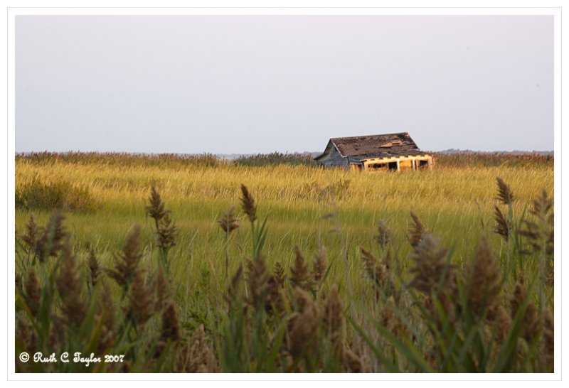 Lonely Cabin - <br>Heislerville, Cumberland County, NJ