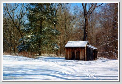 Winter at Thomson Neely Farm