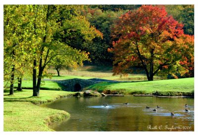 Autumn at Stone Ridge Pond