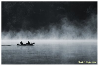 Fishing in the Mist