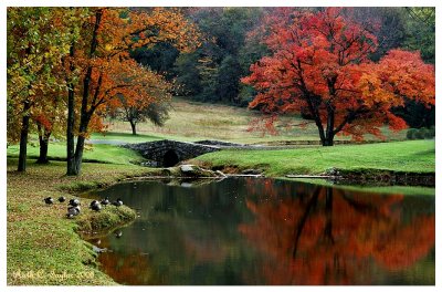 Autumn Reflections <br>at Foxbriar Pond )