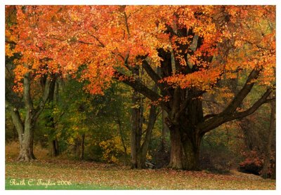 Autumns Peak