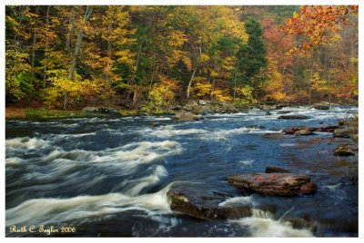 Autumn Along Tohickon Creek  (To-hick-han) Lenape word meaning Deer Bone Creek
