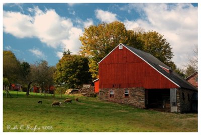 Autumn Morning at Stover Myer Farm