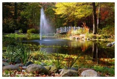 Autumn Afternoon at the Pond