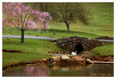 Spring at Fox Briar Farm Bridge