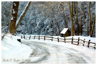 * Winter Morning Along Cuttalossa Road