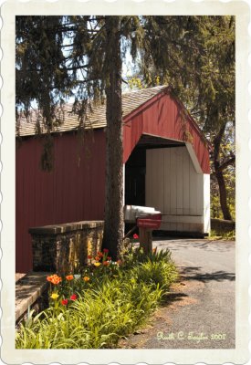 Spring Along Uhlerstown Covered Bridge #2