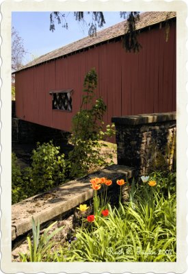 Spring Along Uhlerstown Covered Bridge #3
