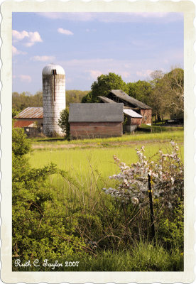 Spring in the Country