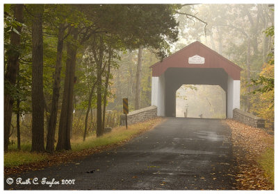 Misty Autumn at Cabin Run