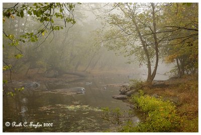Misty Morning Along Tinicum Creek