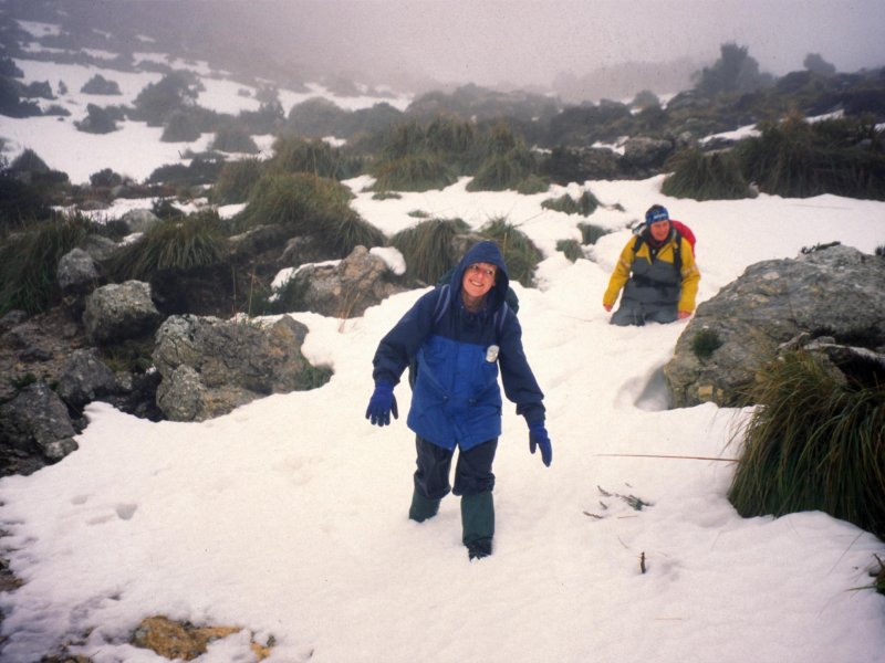 Knee deep in snow