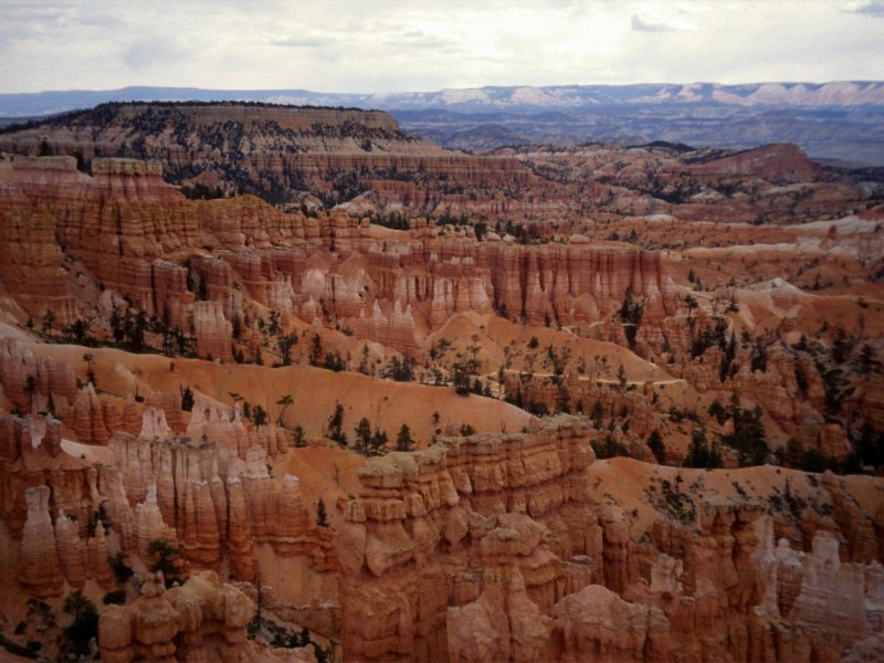 Panoramic outlook