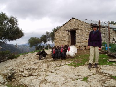 Posing with turkeys