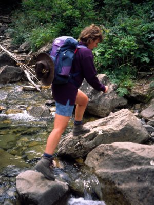 Crossing a brook