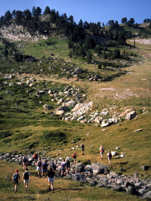 Swarm of hikers
