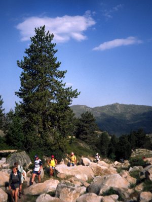 Traversing rocks