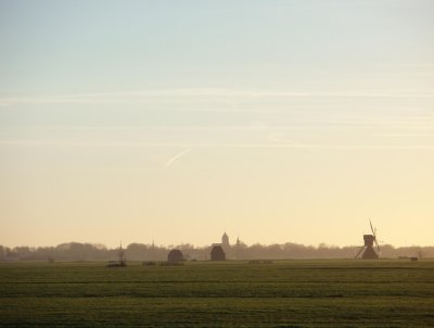 Afternoon in the polder