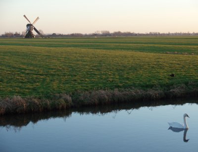 Swan and watermill