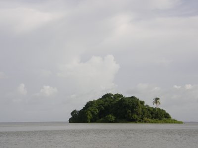 Bounty island