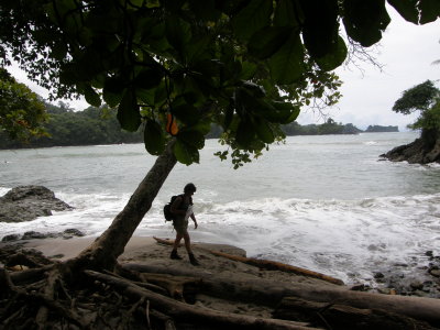 g6/58/630158/3/85233891.sO2pO2nz.jpg