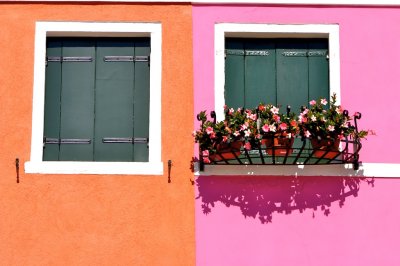 Neighbours, 1 Flowerful