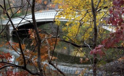 Bow Bridge Fall 2006