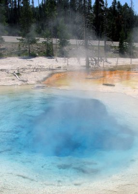 Geizer in Yellowstone