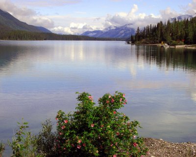 Muncho Lake Canada