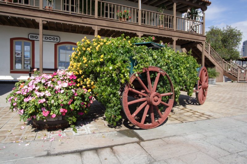 Flower Cart.JPG