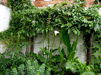 raised beds