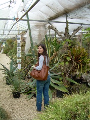 emily and the agave