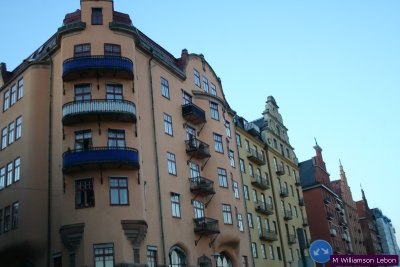 IMG_6039.jpg