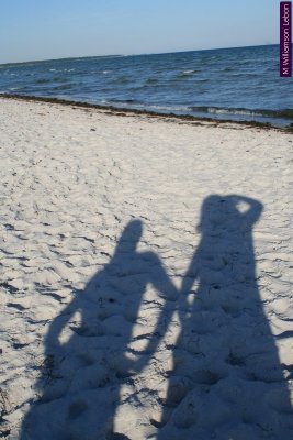 IMG_5807.jpg