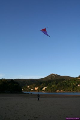 Cometas en Laida