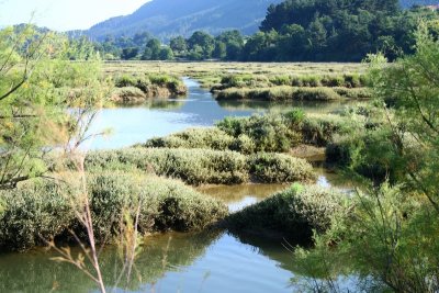 Marismas de la Ra de Guenica en Busturia