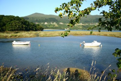 Marismas de la Ra de Guernica en Busturia